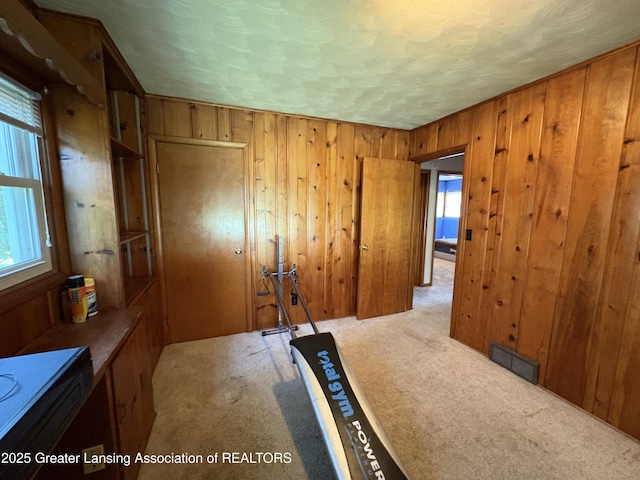 1064 W Shepherd St, Charlotte, MI 48813 - corridor featuring carpet floors and wood walls