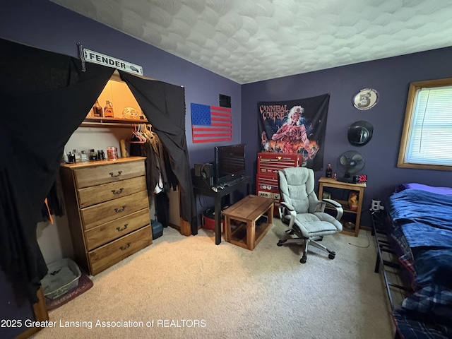 1064 W Shepherd St, Charlotte, MI 48813 - bedroom with carpet and a textured ceiling