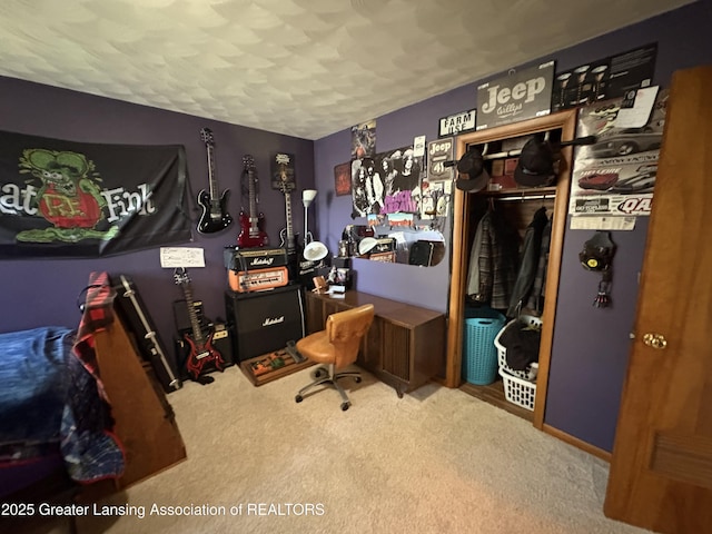 1064 W Shepherd St, Charlotte, MI 48813 - office area with carpet flooring and a textured ceiling