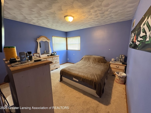 1064 W Shepherd St, Charlotte, MI 48813 - bedroom with carpet floors and a textured ceiling
