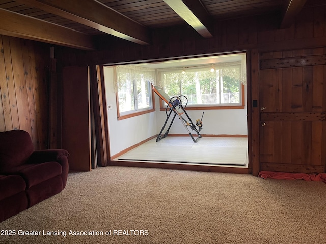 1064 W Shepherd St, Charlotte, MI 48813 - photo 18