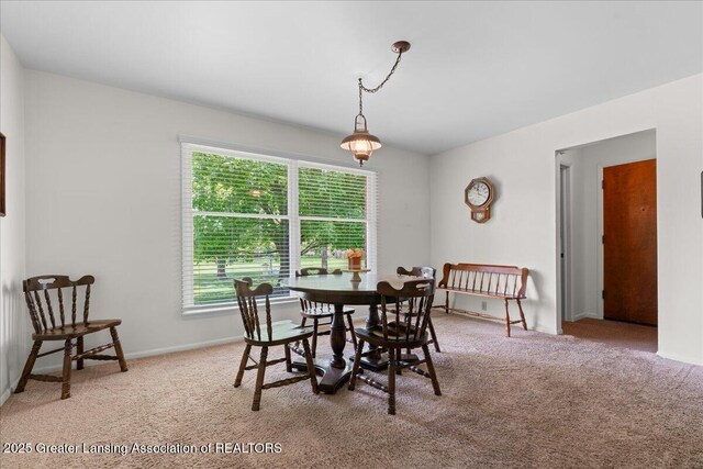 625 Park Ln, Corunna, MI 48817