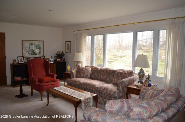 408 Whitehills Dr, East Lansing, MI 48823 - living area featuring carpet, healthy amount of natural light, and crown molding