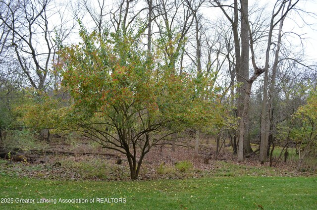 408 Whitehills Dr, East Lansing, MI 48823 - view of grassy yard
