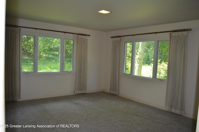 408 Whitehills Dr, East Lansing, MI 48823 - carpeted empty room featuring plenty of natural light