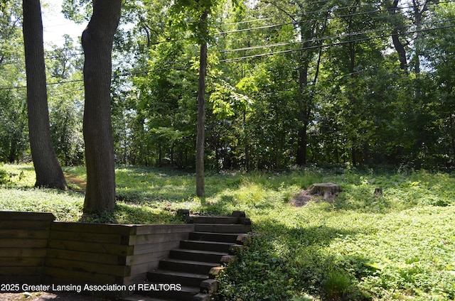 408 Whitehills Dr, East Lansing, MI 48823 - view of yard featuring stairway