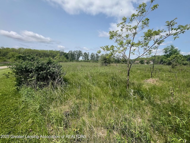 13592 Forest Hill Rd, Grand Ledge, MI 48837