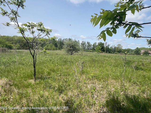 13592 Forest Hill Rd, Grand Ledge, MI 48837