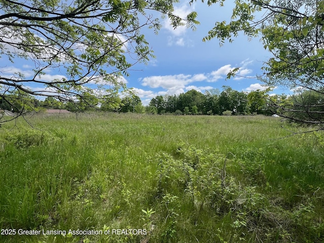 13592 Forest Hill Rd, Grand Ledge, MI 48837