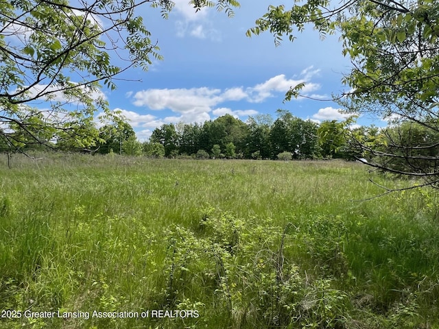 13592 Forest Hill Rd, Grand Ledge, MI 48837