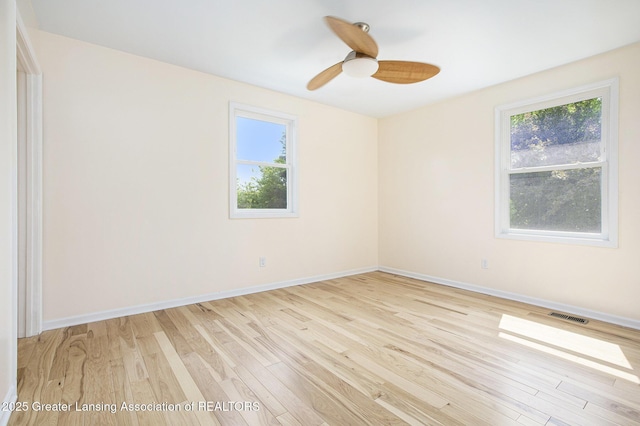 1321 Saint James Pl, Chelsea, MI 48118 - empty room with plenty of natural light, light wood finished floors, a ceiling fan, and baseboards