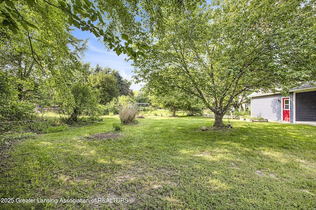 1321 Saint James Pl, Chelsea, MI 48118 - view of green lawn