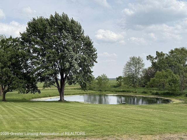 9216 S Grove Rd, Dewitt, MI 48820 - water view
