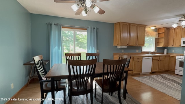 9216 S Grove Rd, Dewitt, MI 48820 - dining area featuring ceiling fan, healthy amount of natural light, light wood-style floors, and baseboards