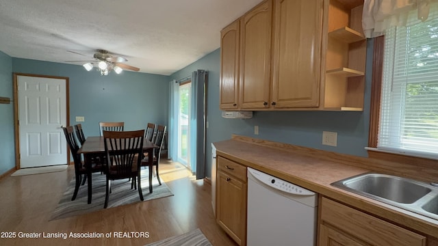 9216 S Grove Rd, Dewitt, MI 48820 - kitchen featuring dishwasher, open shelves, ceiling fan, light brown cabinetry, and light wood-style floors