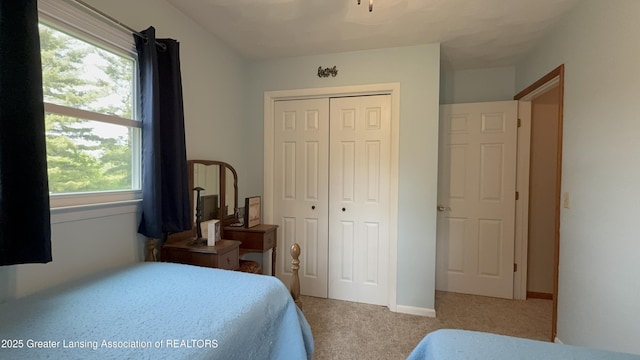 9216 S Grove Rd, Dewitt, MI 48820 - bedroom featuring carpet floors and a closet