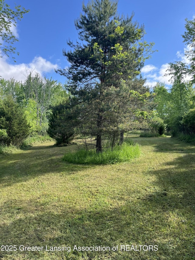 9216 S Grove Rd, Dewitt, MI 48820 - view of green lawn