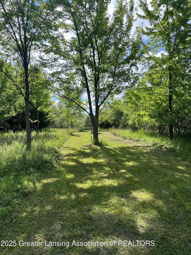 9216 S Grove Rd, Dewitt, MI 48820 - view of green lawn
