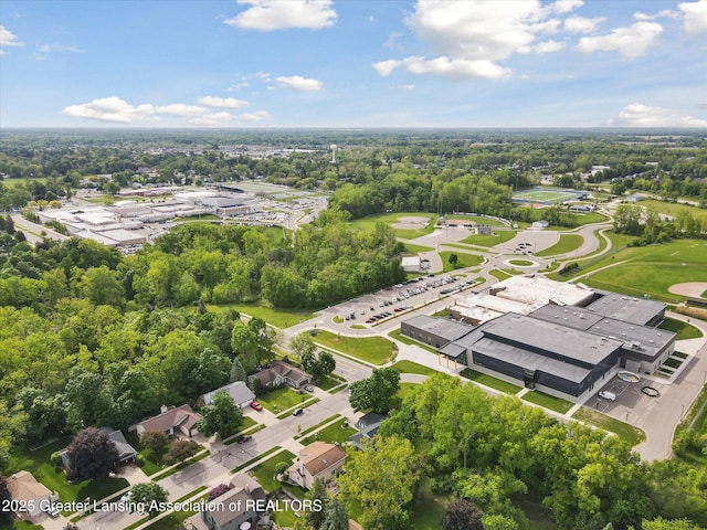 1098 Brookside Dr, Grand Ledge, MI 48837 - aerial view