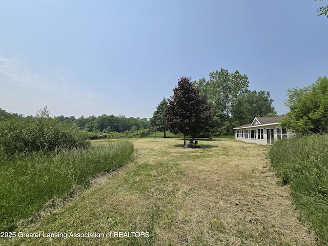 6322 Springport Rd, Eaton Rapids, MI 48827 - view of green lawn