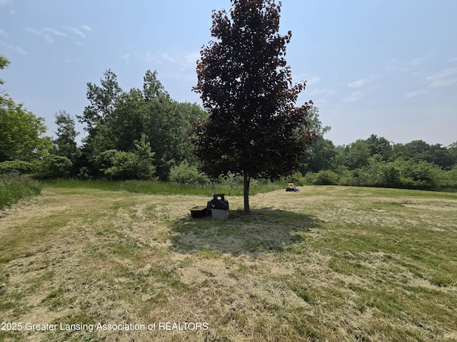 6322 Springport Rd, Eaton Rapids, MI 48827 - view of green lawn featuring a view of trees