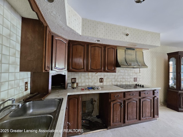 6322 Springport Rd, Eaton Rapids, MI 48827 - kitchen with exhaust hood, a sink, black electric stovetop, light countertops, and backsplash