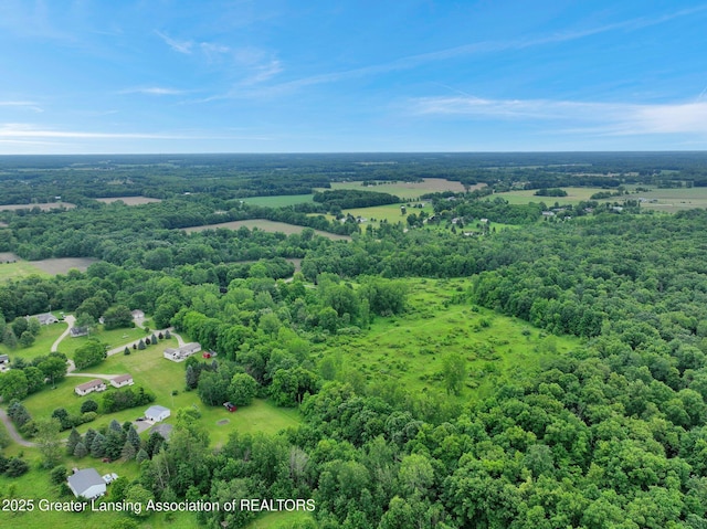 6322 Springport Rd, Eaton Rapids, MI 48827 - view of property location featuring a heavily wooded area