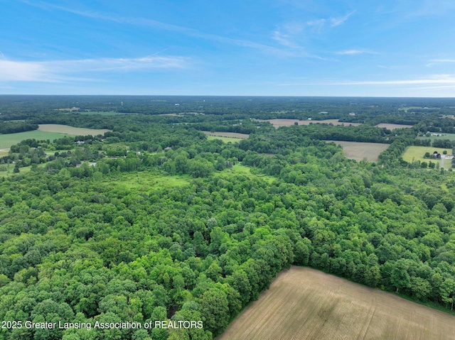 6322 Springport Rd, Eaton Rapids, MI 48827 - bird's eye view of a forest