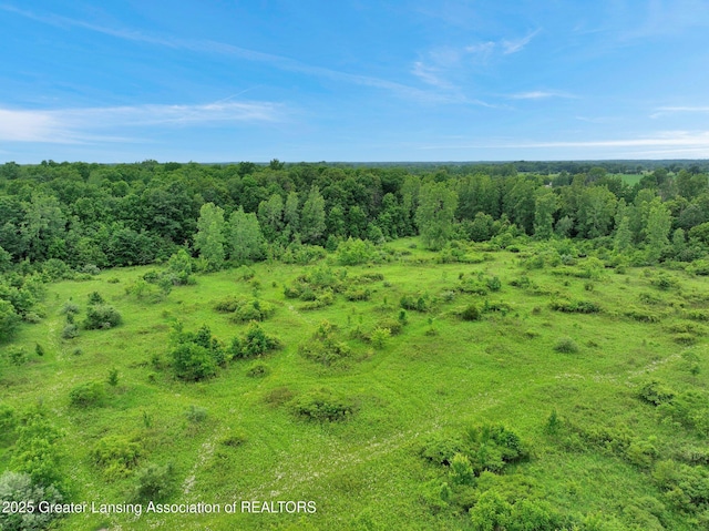 6322 Springport Rd, Eaton Rapids, MI 48827 - view of nature