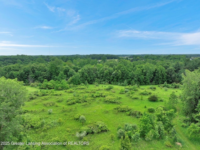 6322 Springport Rd, Eaton Rapids, MI 48827 - view of wooded area