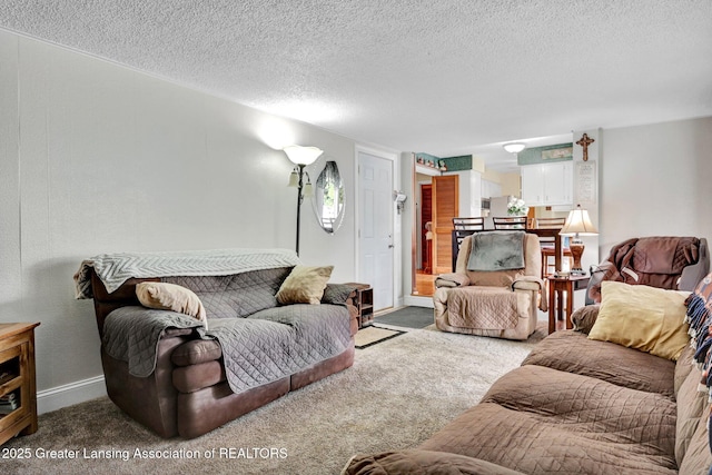 7713 Jon Scott Dr, Grand Ledge, MI 48837 - living area with carpet flooring, a textured ceiling, and baseboards