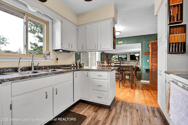 7713 Jon Scott Dr, Grand Ledge, MI 48837 - kitchen with a sink, electric stove, dark wood finished floors, dark countertops, and white cabinets