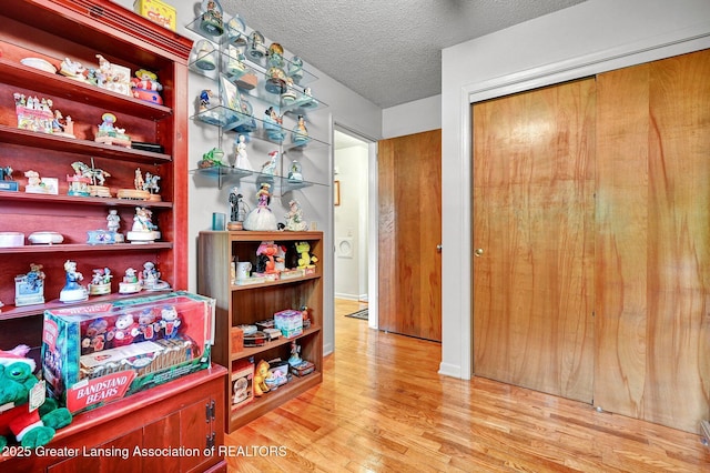 7713 Jon Scott Dr, Grand Ledge, MI 48837 - bar with wood finished floors and a textured ceiling