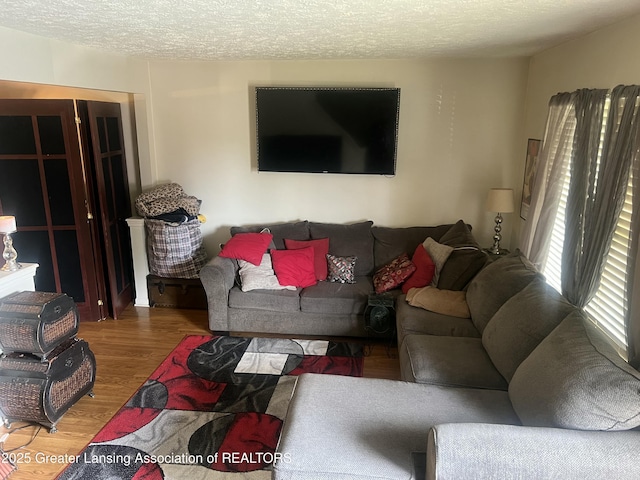1745 Maisonette Dr, Lansing, MI 48911 - living room with wood finished floors and a textured ceiling