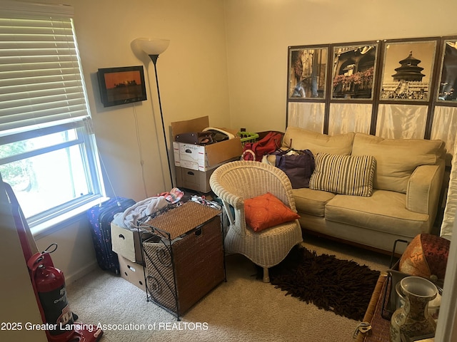 1745 Maisonette Dr, Lansing, MI 48911 - view of carpeted living area