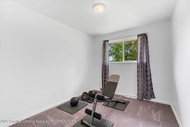 1941 S Royston Rd, Eaton Rapids, MI 48827 - exercise room featuring carpet flooring, baseboards, and ornamental molding