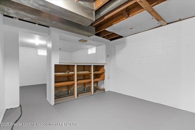 1941 S Royston Rd, Eaton Rapids, MI 48827 - basement featuring concrete block wall