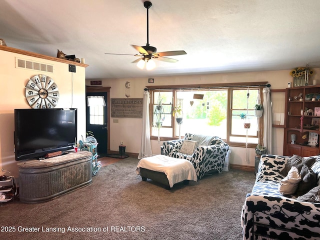 132 W Lansing Rd, Morrice, MI 48857 - photo 4