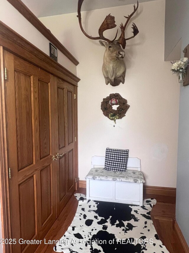 132 W Lansing Rd, Morrice, MI 48857 - photo 3