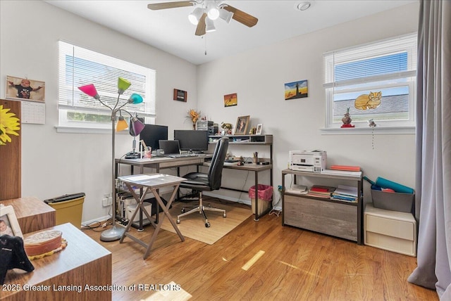 1727 Springfield Ln, Lansing, MI 48912 - office space featuring ceiling fan, light wood-style floors, and baseboards