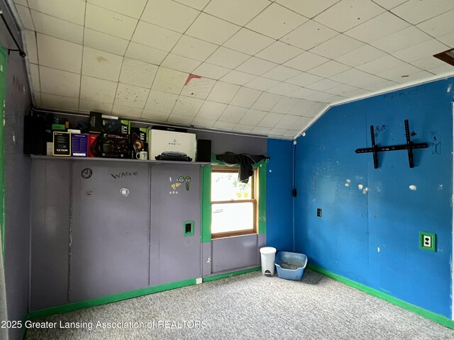 125 N E St, Mason, MI 48854 - misc room featuring carpet flooring and vaulted ceiling