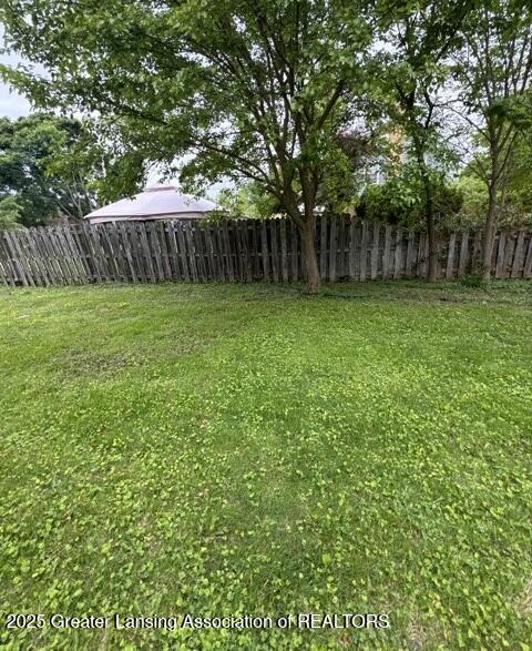 1141 N Genesee Dr, Lansing, MI 48915 - view of yard