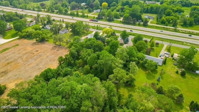 1055 Hull Rd, Mason, MI 48854 - bird's eye view