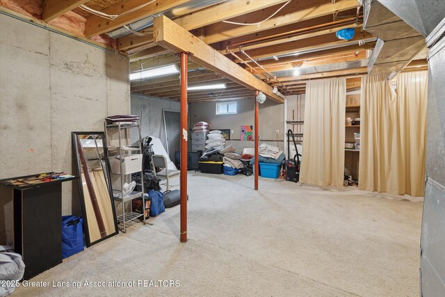 11782 Sara Ann Dr, Dewitt, MI 48820 - basement featuring carpet flooring