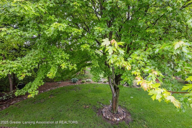 11782 Sara Ann Dr, Dewitt, MI 48820 - view of grassy yard