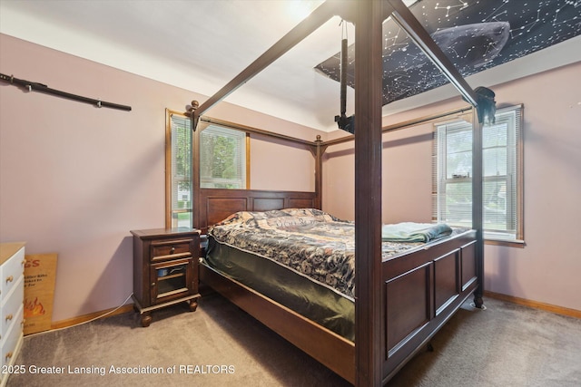 925 Summit St, Owosso, MI 48867 - view of carpeted bedroom