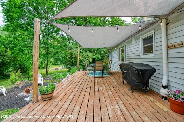 5013 Algonquin Way, Okemos, MI 48864 - deck with outdoor dining space and grilling area