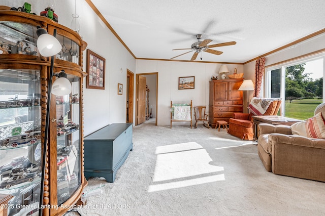 1200 S Michigan Rd, Eaton Rapids, MI 48827 - living room with crown molding, ceiling fan, carpet, and a textured ceiling