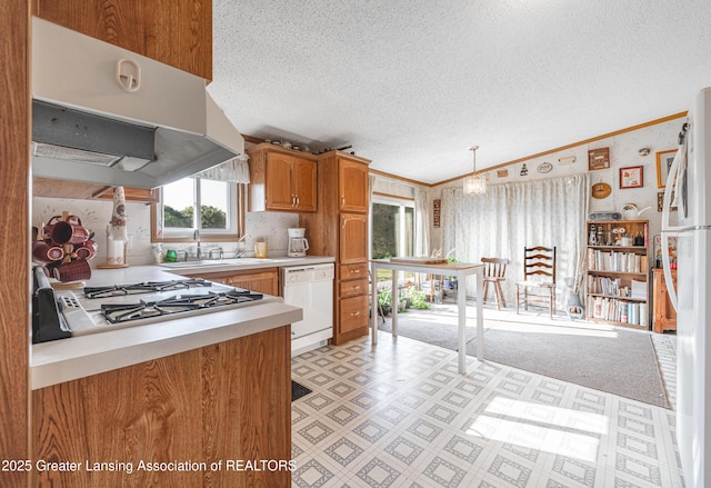 1200 S Michigan Rd, Eaton Rapids, MI 48827 - kitchen with white appliances, a sink, light countertops, a textured ceiling, and crown molding