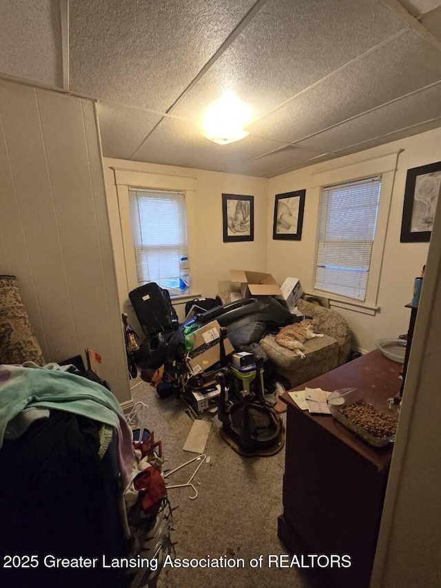 1417 Reo Ave, Lansing, MI 48910 - bedroom with carpet flooring and a drop ceiling